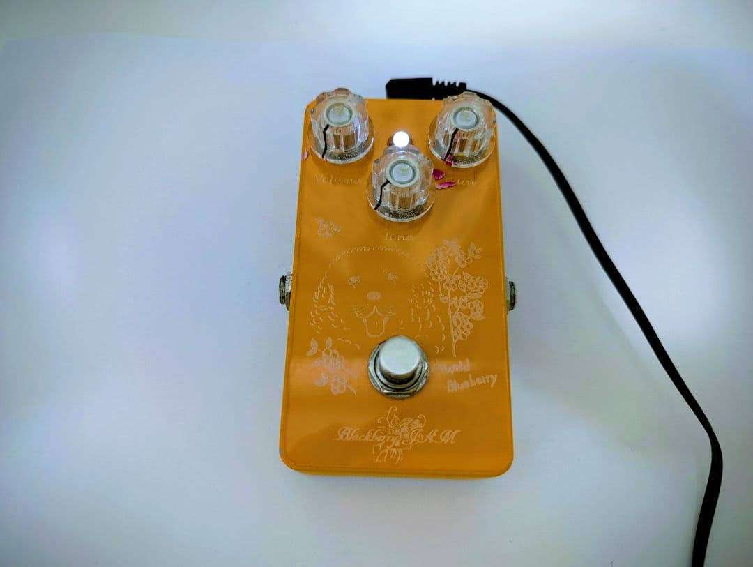 ギター Blackberry JAM Wild Blueberry MariGold