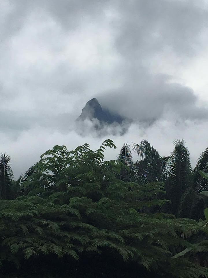 ❇虹色♎レクライ⭐チェッシー♉タイのお守り♊プラクルアン✨