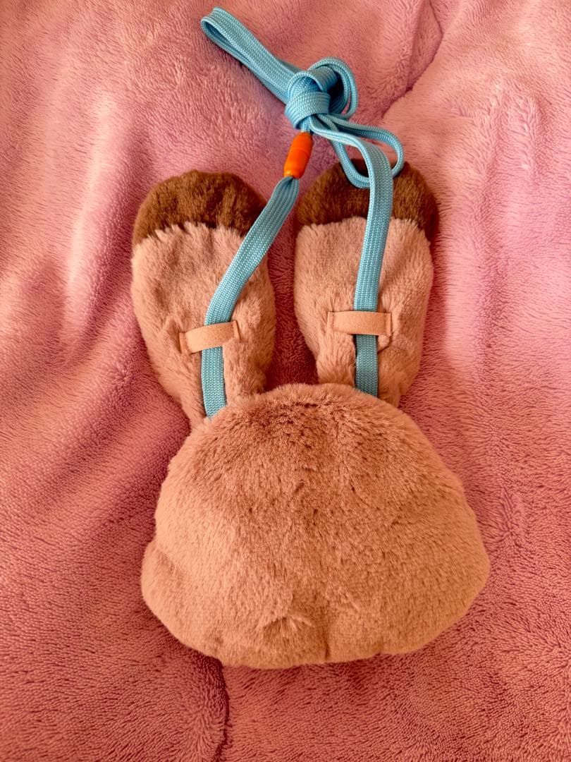 ジュディ ファンキャップ パスケース