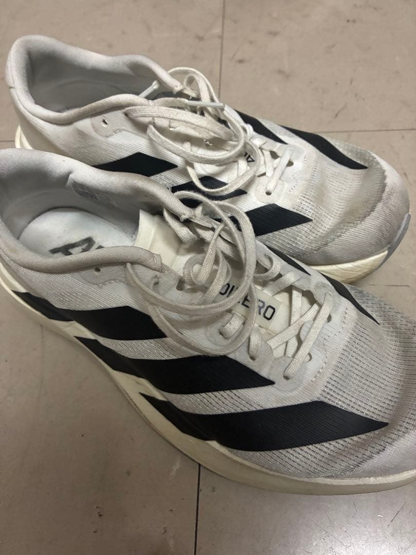 スパイク・シューズ adidas Evo SL 25.5
