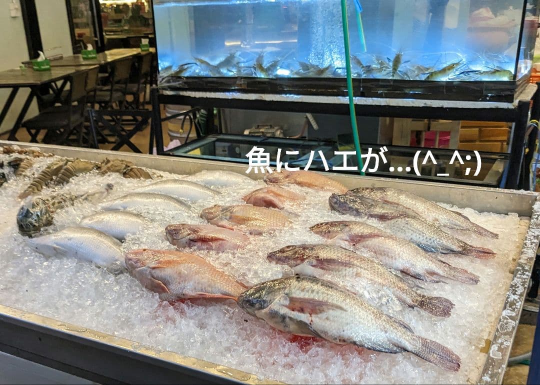 タイのお守りプラクルアンッ！！恋愛&金運アップ！！九尾の狐のオールドタイプ！！！