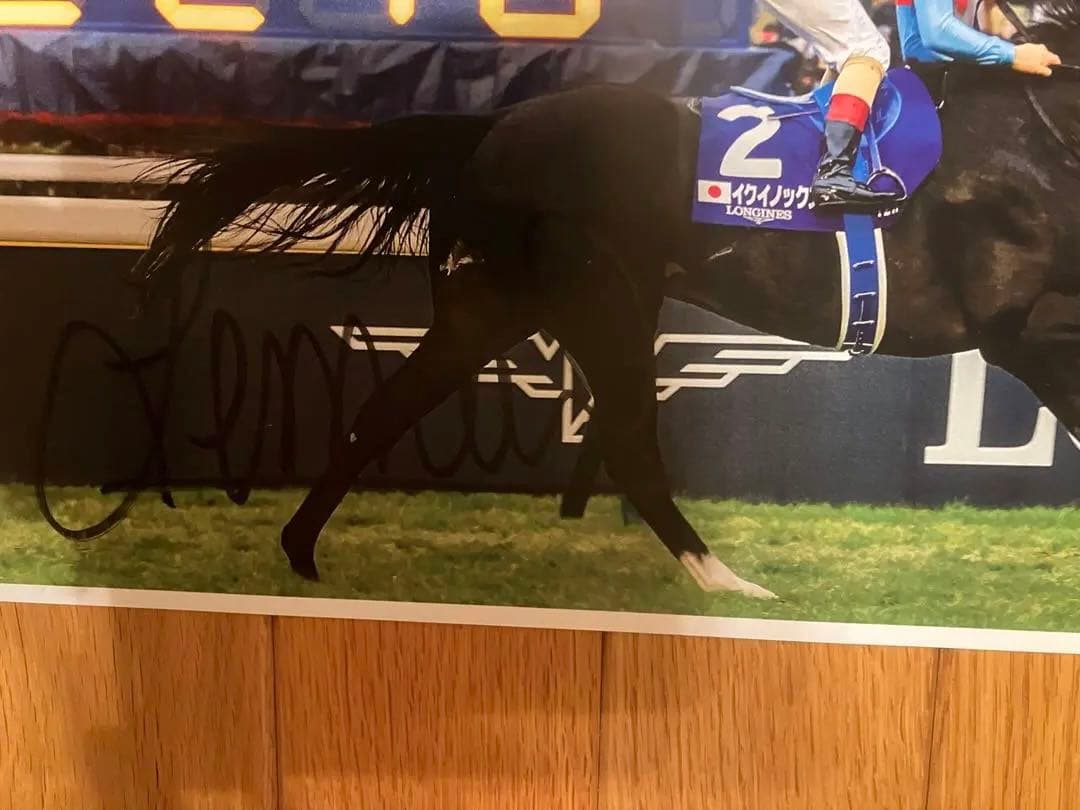 イクイノックス　鬣　たてがみ　2023ジャパンカップ　C・ルメール騎手直筆サイン