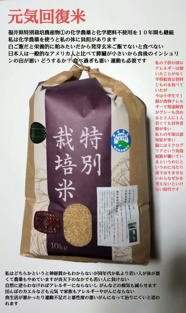 私といるとなぜか元気に？ ７年産コシヒカリ 玄米10 kg 特栽① 農薬等不使用