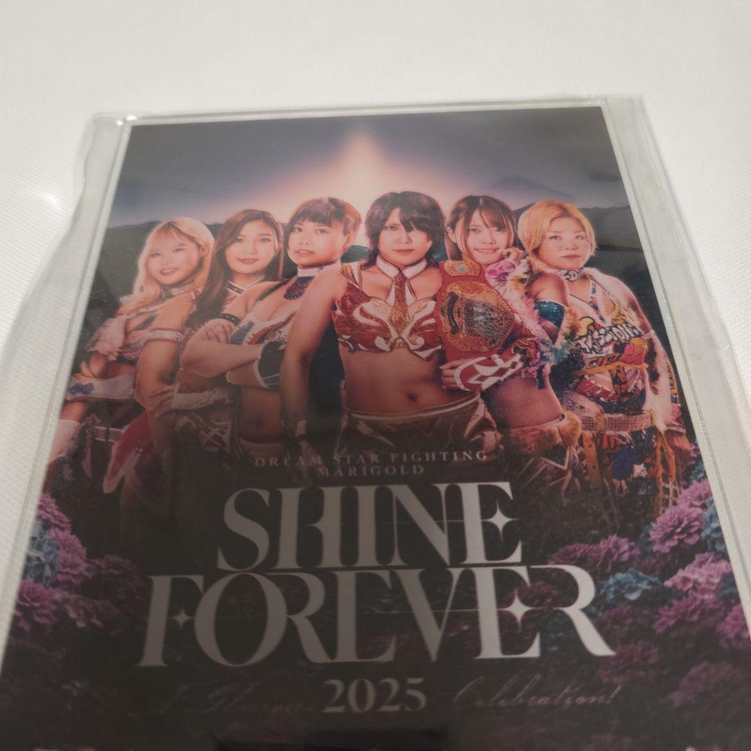 女子プロレス マリーゴールド クリアスタンド