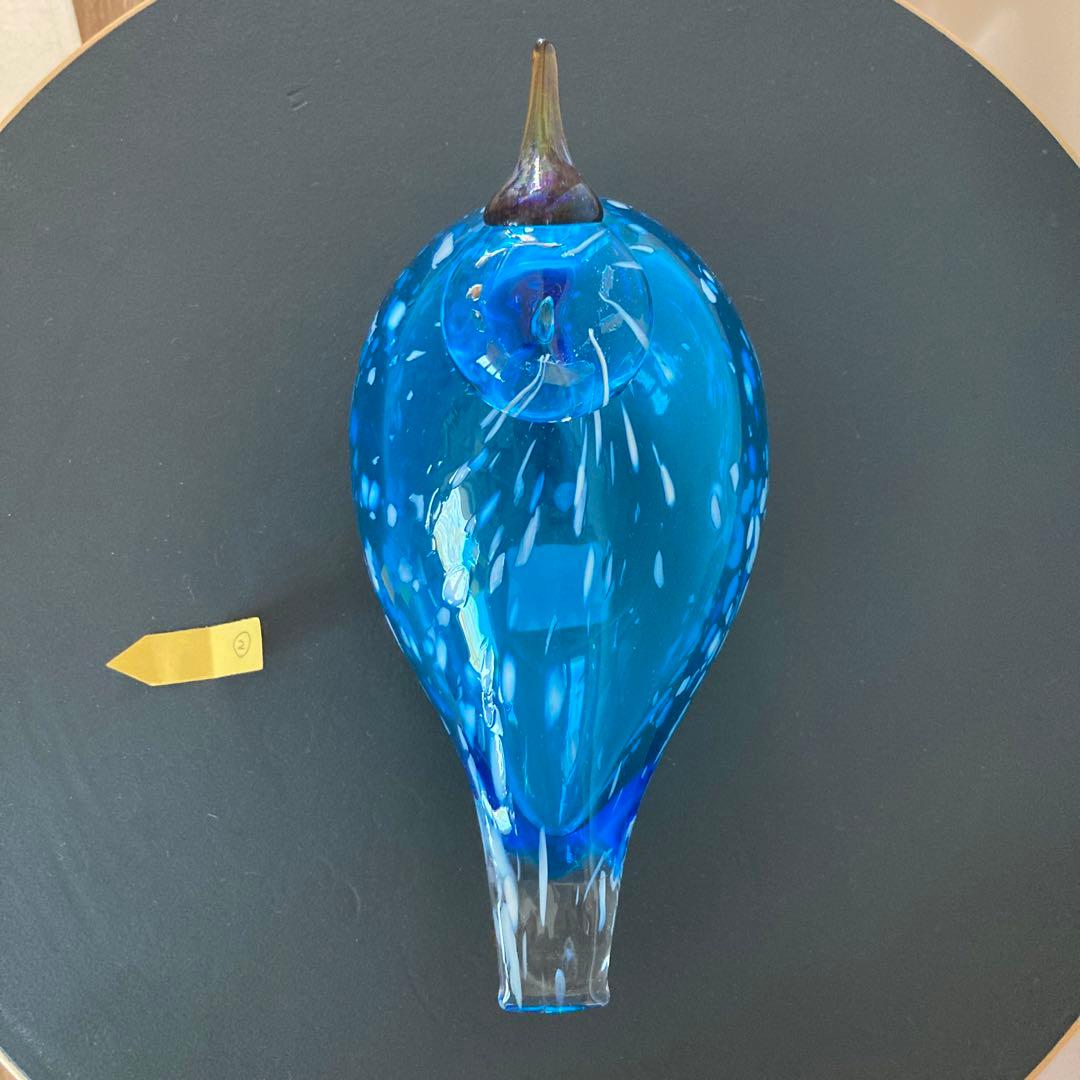 イッタラバード　ブルーフィンチ　blue finch ②