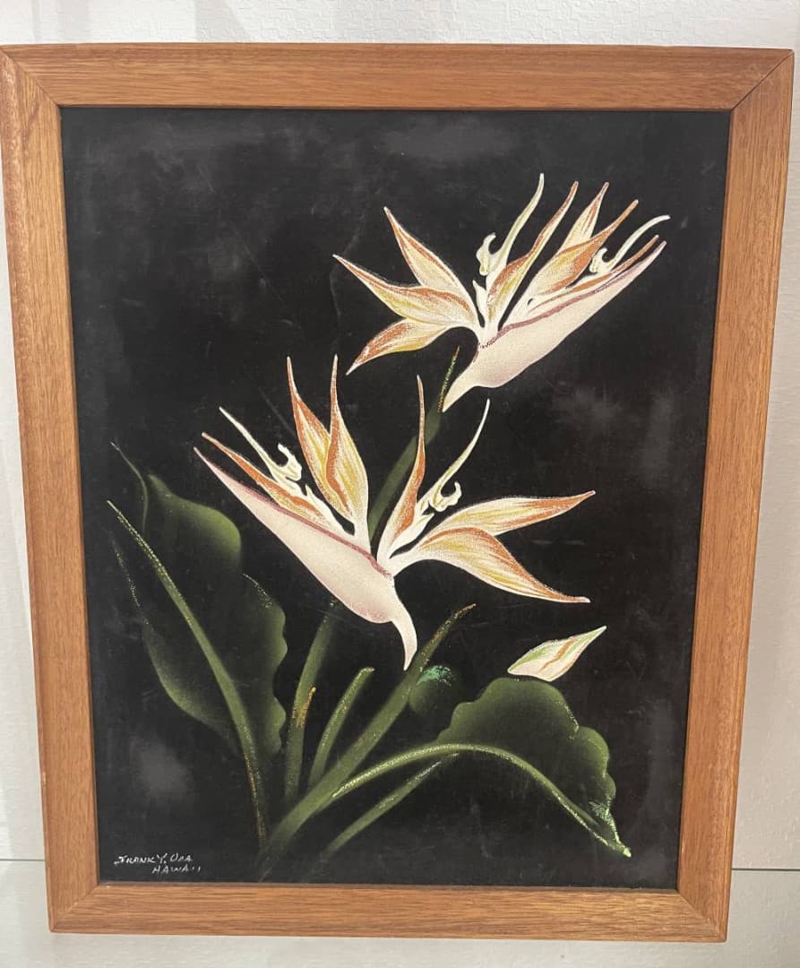 コレクション Hale Pua/ Black Velvet Bird of Paradise