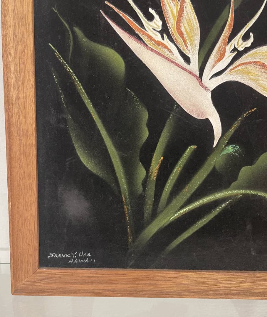 コレクション Hale Pua/ Black Velvet Bird of Paradise