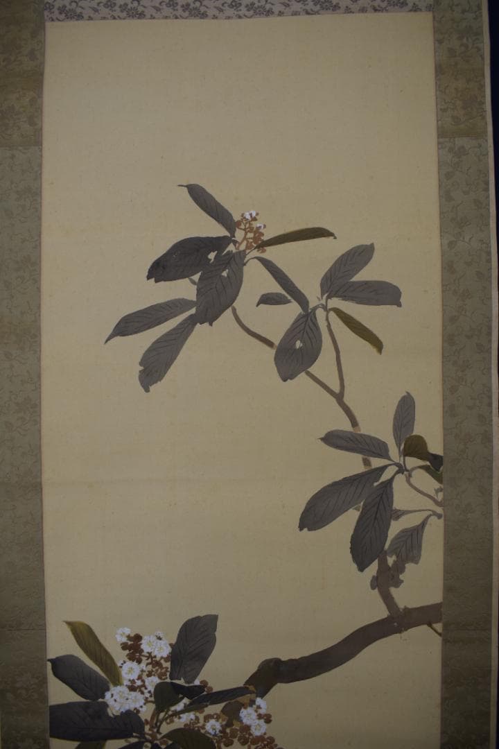 【真作】川北霞峰//枇杷小禽図/ヒワに小鳥図/掛軸☆宝船☆Y-870　JM