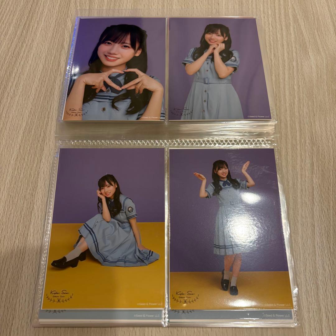 日向坂46 齊藤京子 過去衣装ランダム生写真 44種コンプ