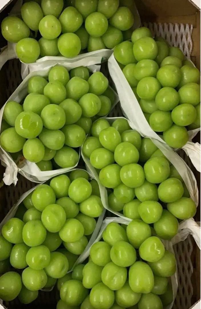 リピ割‼️ 山梨県産　シャインマスカット　葡萄　ブトウ　ぶとう　箱込み10kg