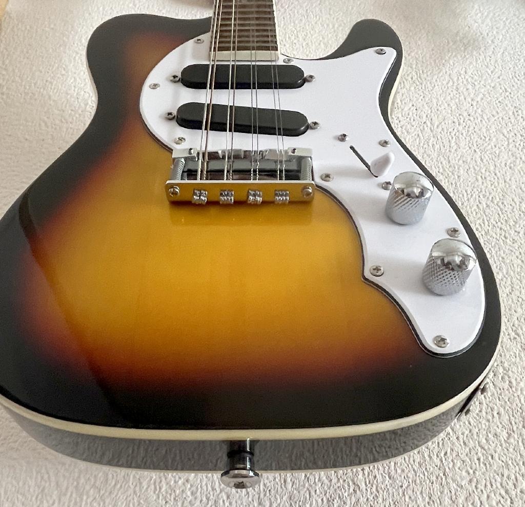 【カメ】エレキマンドリン ローズウッド指板（ソリッドボディ）