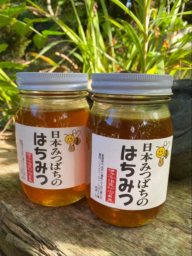 日本蜜蜂のハチミツ　巣箱違いの蜂蜜　奥山の奥のはちみつ