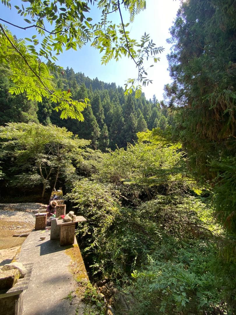 日本蜜蜂のハチミツ　巣箱違いの蜂蜜　奥山の奥のはちみつ