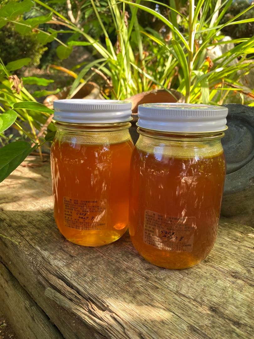 日本蜜蜂のハチミツ　巣箱違いの蜂蜜　奥山の奥のはちみつ