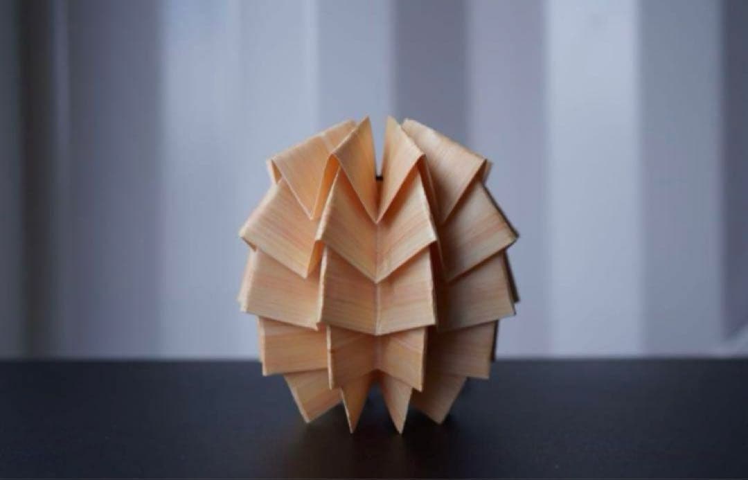 【新品未開封】solol wood(hinoki)