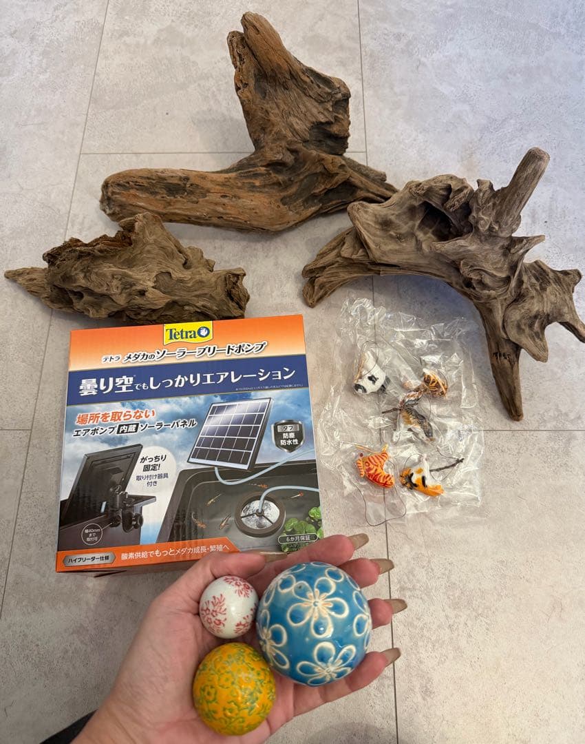 直径60cm メダカ鉢 飼育スタートセット