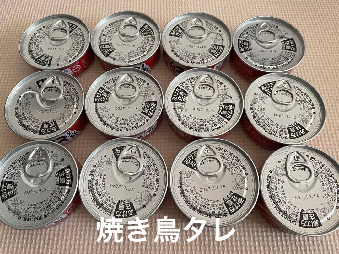 缶詰め65缶セット