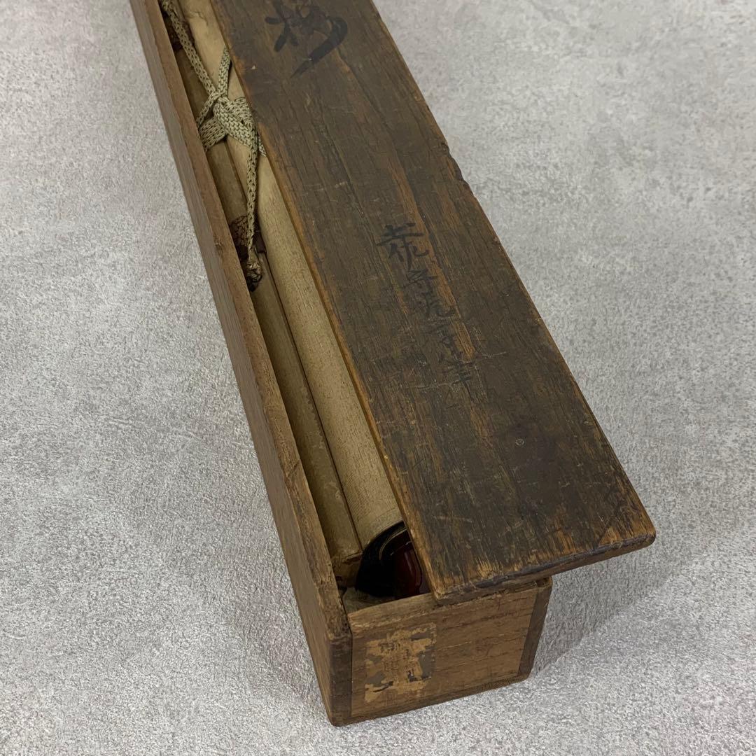 掛軸 土佐光孚 朝日に桜 木箱 2-51