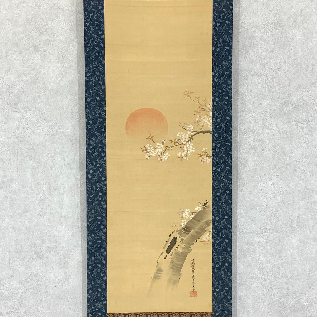 掛軸 土佐光孚 朝日に桜 木箱 2-51