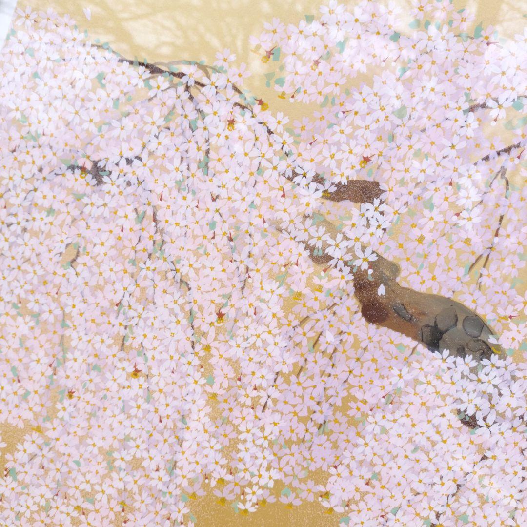 中島千波　「春輝神田の大糸桜」シルクスクリーン　279/350　箱付き
