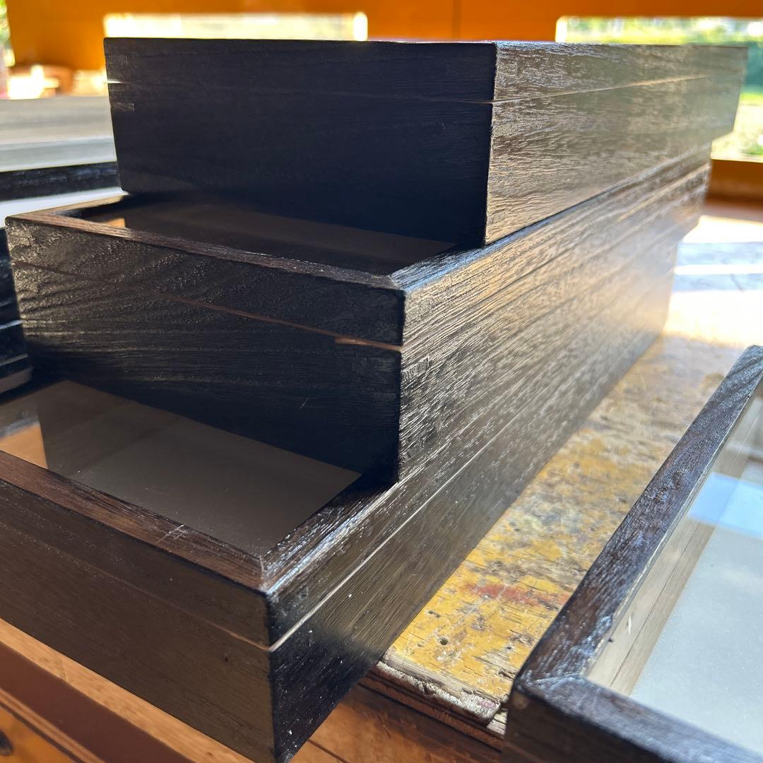 中型標本箱　6箱