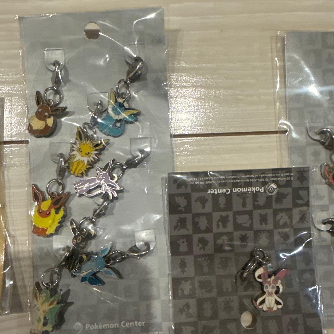 け*じ様 ポケモンメタルチャームまとめ売り