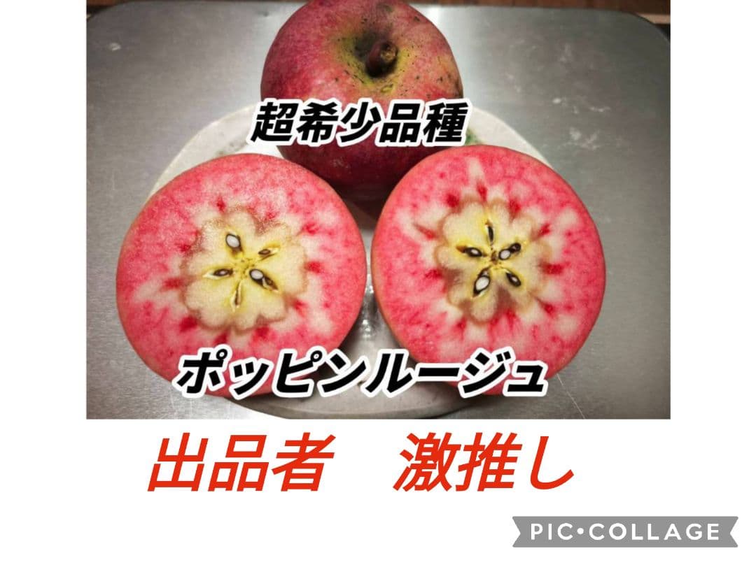 林惠子　ポッピンルージュ5キロ、ムーンルージュ5キロ　トータル10キロ