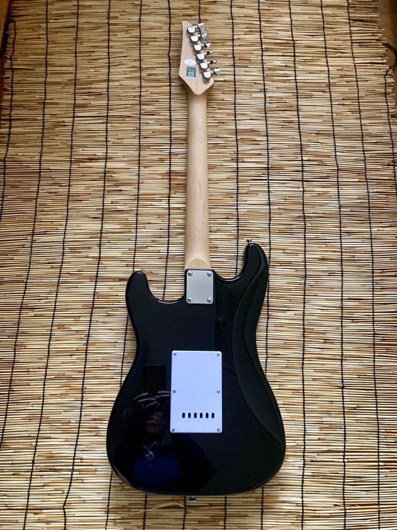 ☆新品を改造して新機能搭載　Minsine SSS ST