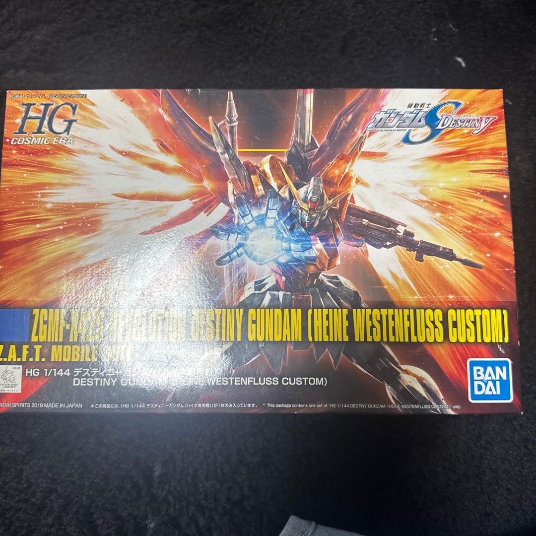 1/144 デスティニーガンダム(ハイネ専用機)