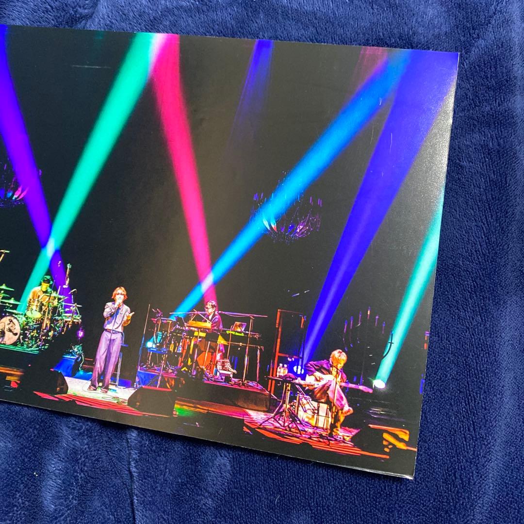 SUPER BEAVER パネル