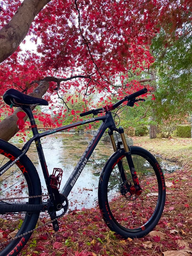 Bianchi マウンテンバイク 完成車 コンポxt