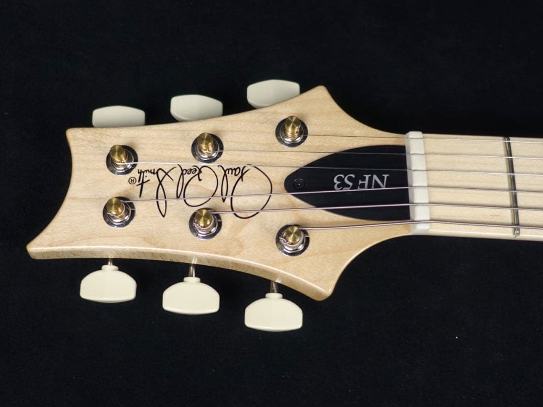 ギター Paul Reed Smith NF 53 BlackDoghair