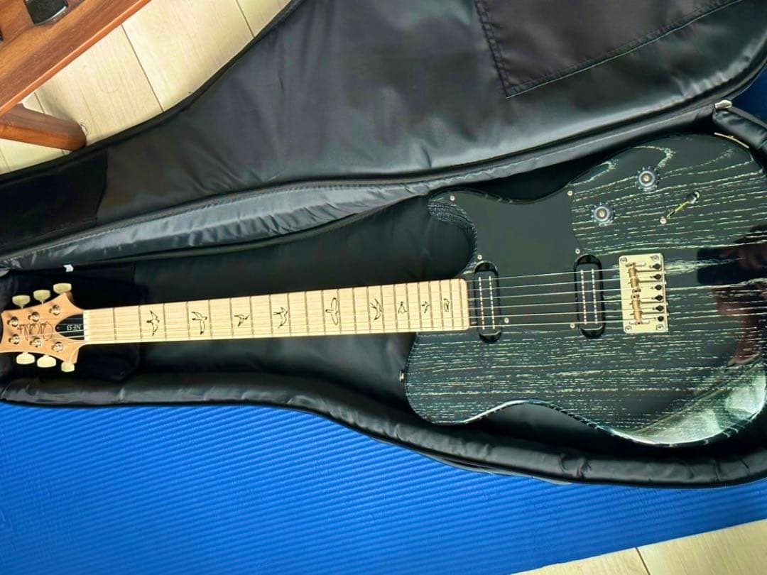 ギター Paul Reed Smith NF 53 BlackDoghair