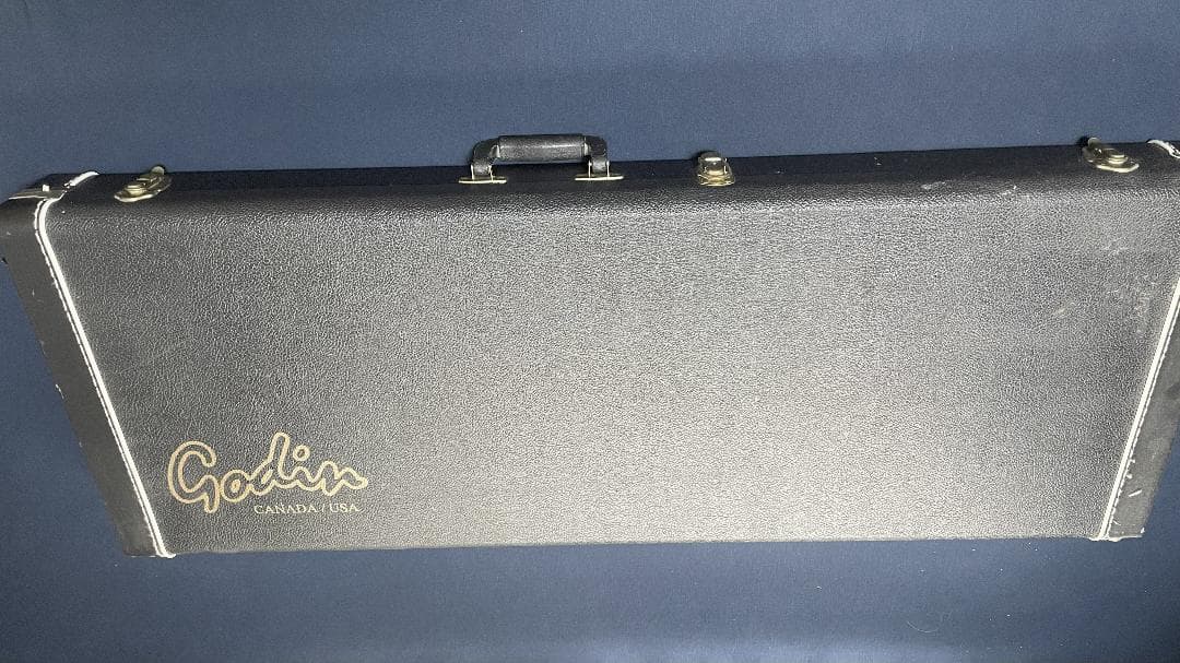 【最終値下げ】Godin Multiac Nylon SA ゴダン エレガット