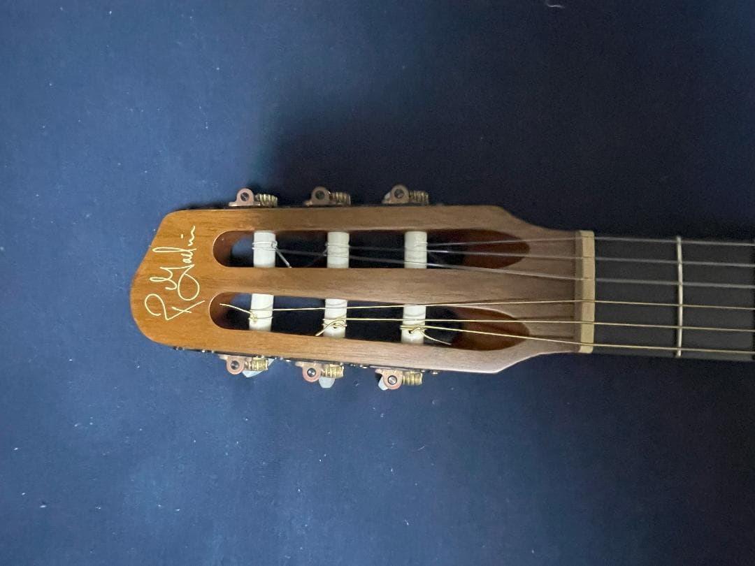 【最終値下げ】Godin Multiac Nylon SA ゴダン エレガット