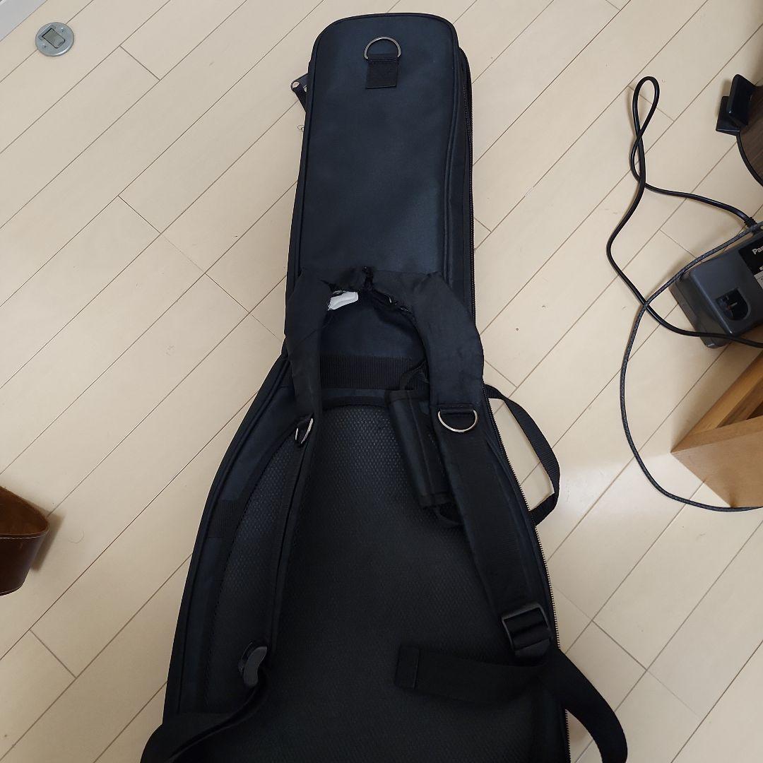 FUJIGEN(FGN) テレキャスターKNTE10RBD モデファイ