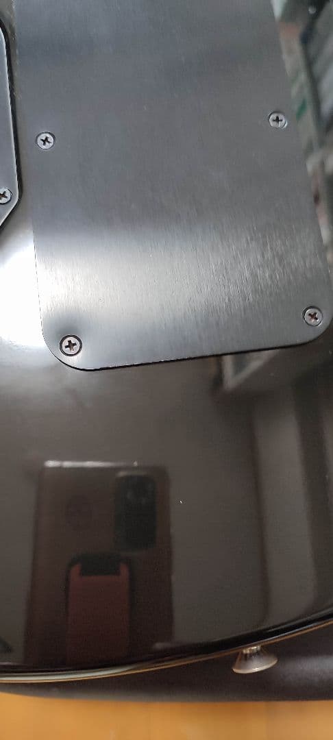 ギター PEAVEY EVH Wolfgang USA