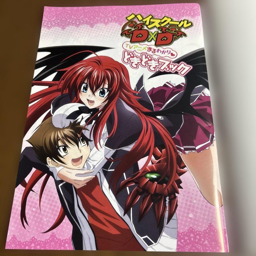 ハイスクールD×D TVアニメまるわかり　どきどきブック【非売品】