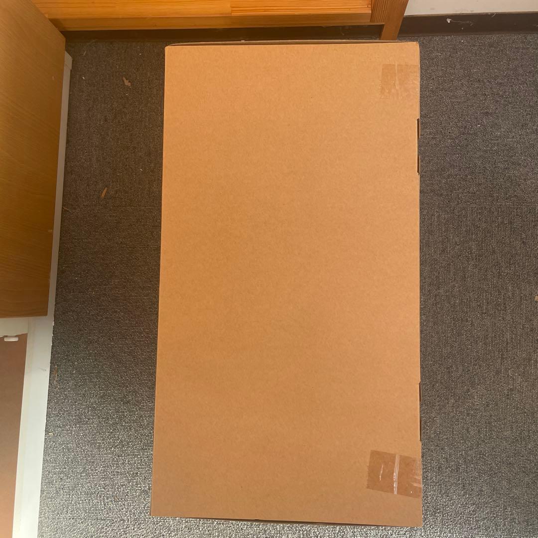 ゴジラ(2023) G-1.0 30cm 東宝30cmシリーズ　開封済み