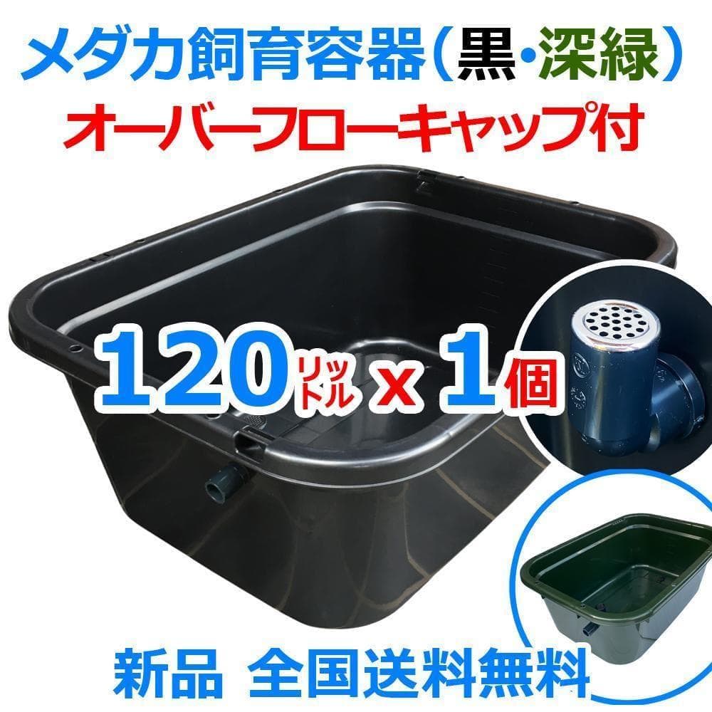 メダカ飼育ケース 120㍑x1個 黒・濃緑あり オーバーフロー 金魚 ビオトープ