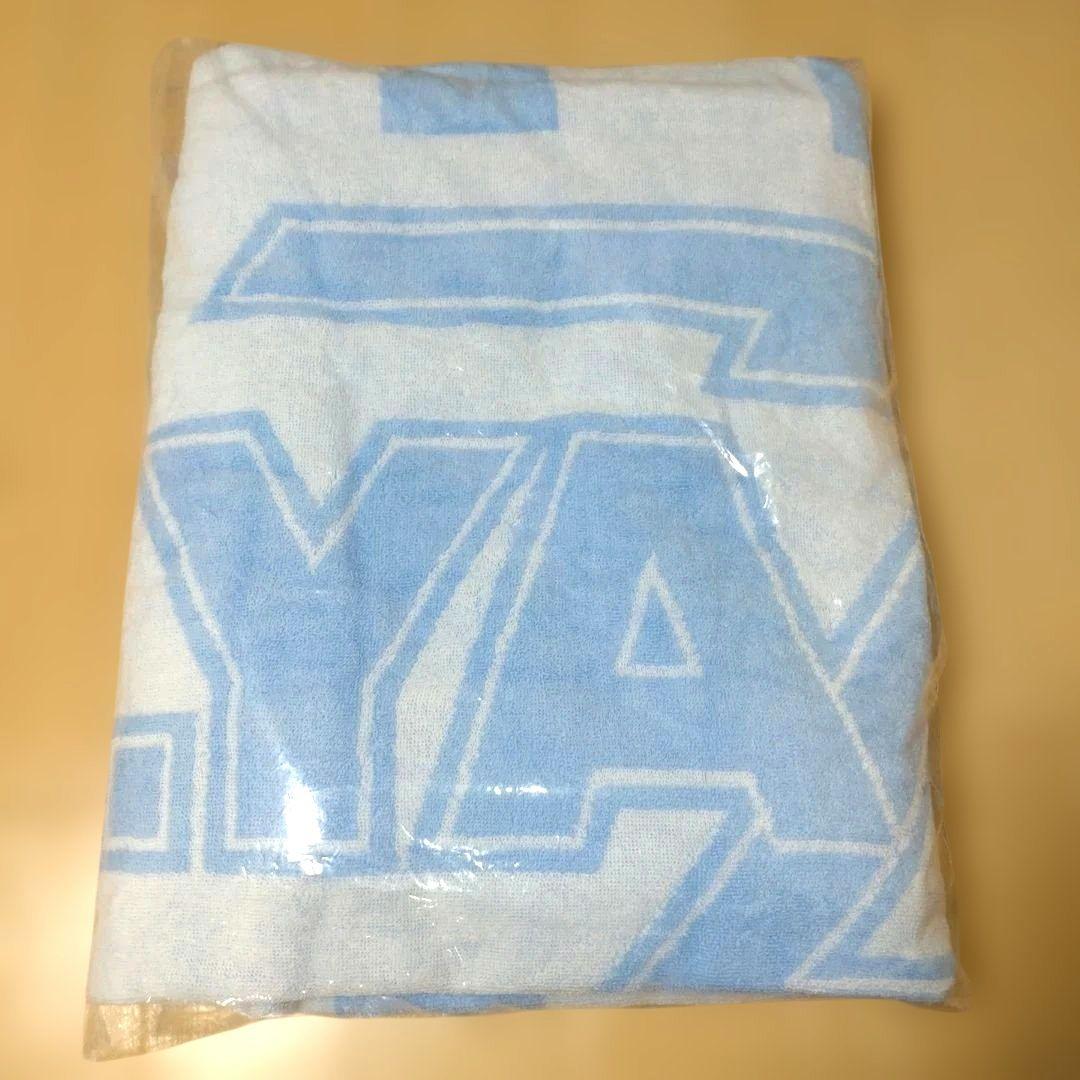 E.YAZAWA 矢沢永吉 フデロゴ ストライプ タオルケット 水色 新品