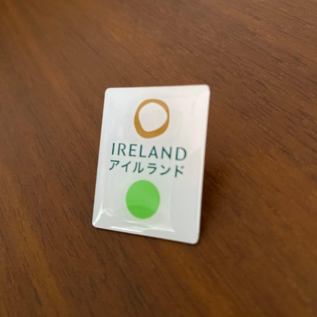 関西万博　アイルランド ピンバッジ