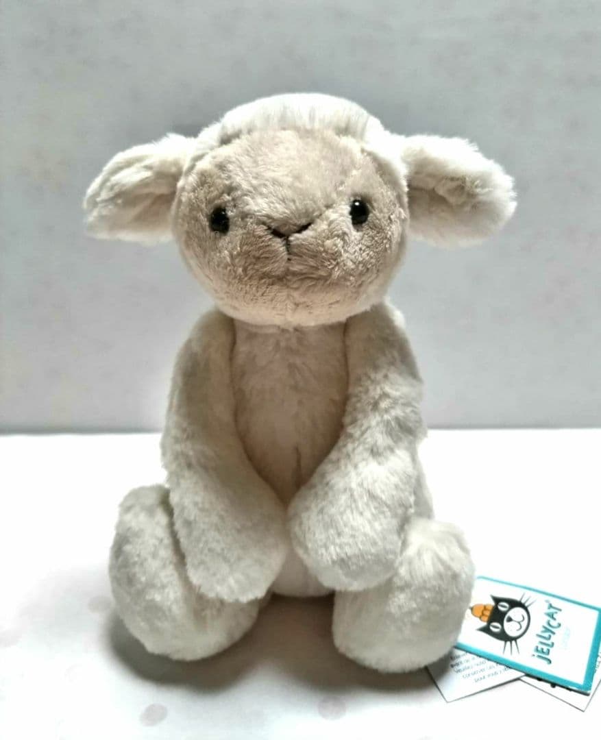 ジェリーキャット バシュフル ラム 子羊