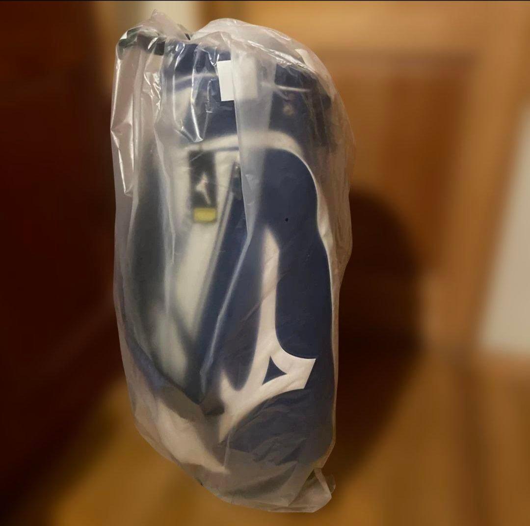 【希少カラー・スタンド式】Mizuno ゴルフ　キャディバッグ　中古