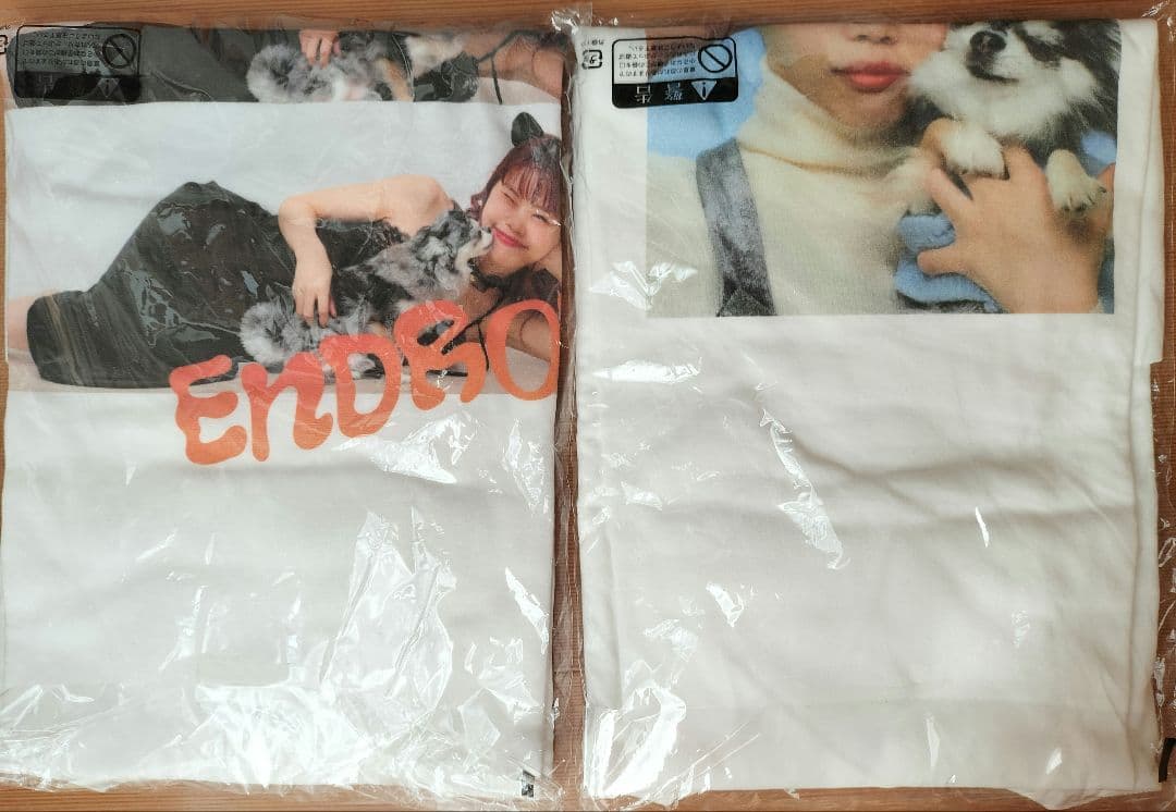 アイナ・ジ・エンド　ロンT ２点　武道館　LINE CUBE