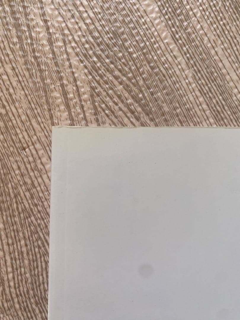 BUCK-TICK 櫻井敦司　愛の惑星　パンフレット&クリアファイル