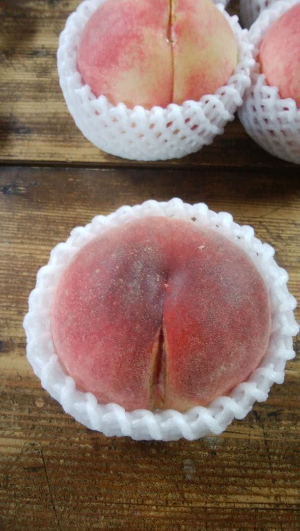 ちいー☆さん専用　特大　桃　さくら白桃　わけあり　10kg