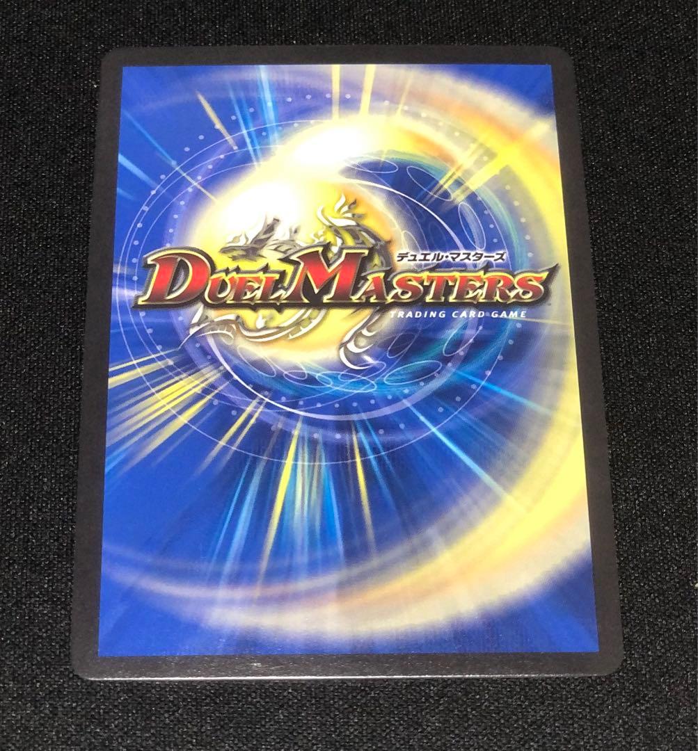 【るん様用】修羅の頂 VANベートーベン プロモ