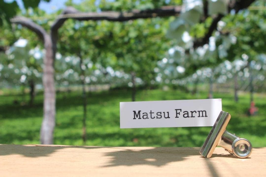 シャインマスカット大粒・大房　3房①　　クール便送料込み　8,000円