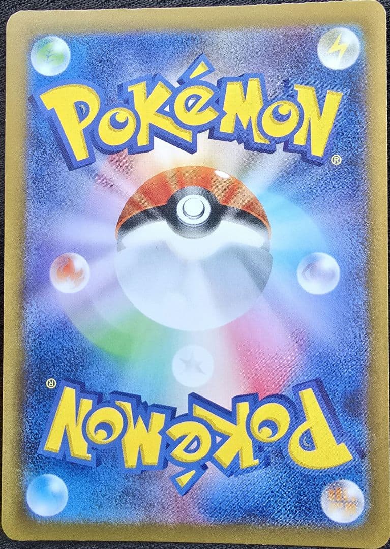 ブラッキー 　マスターボール【土日限定値下げ中】